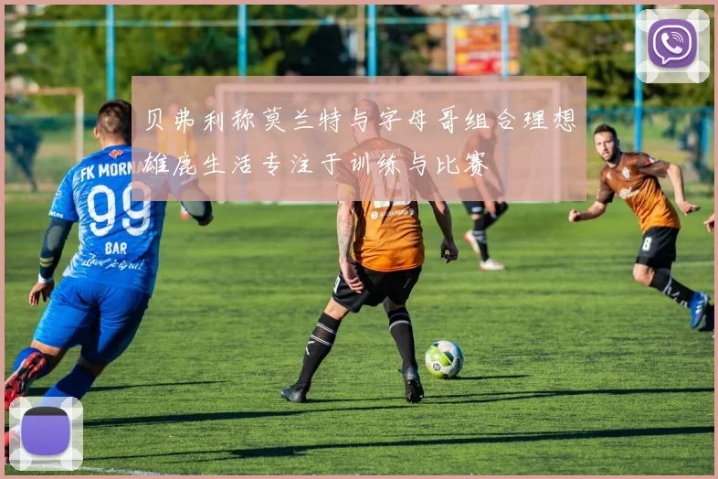 贝弗利称莫兰特与字母哥组合理想雄鹿生活专注于训练与比赛